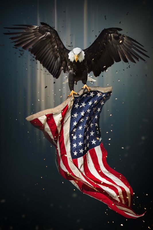 Picture of EAGLE FLAG WALL ART
